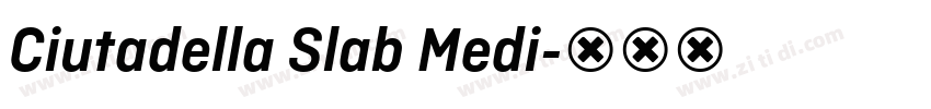Ciutadella Slab Medi字体转换